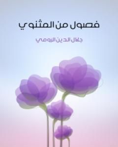 كتاب فصول من المثنوي لـ عبد الوهاب عزام